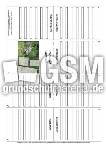 Faltbuch-Laufente.pdf
